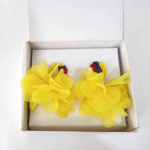 Aretes Colombia AR02
